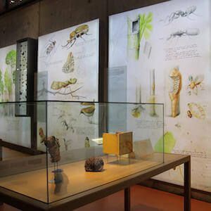 Eintrittskarten CosmoCaixa Barcelona