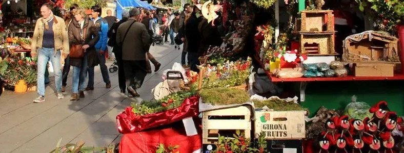 Fira de Santa Llúcia - Weihnachtsmarkt Barcelona