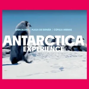 Antarctica Experience